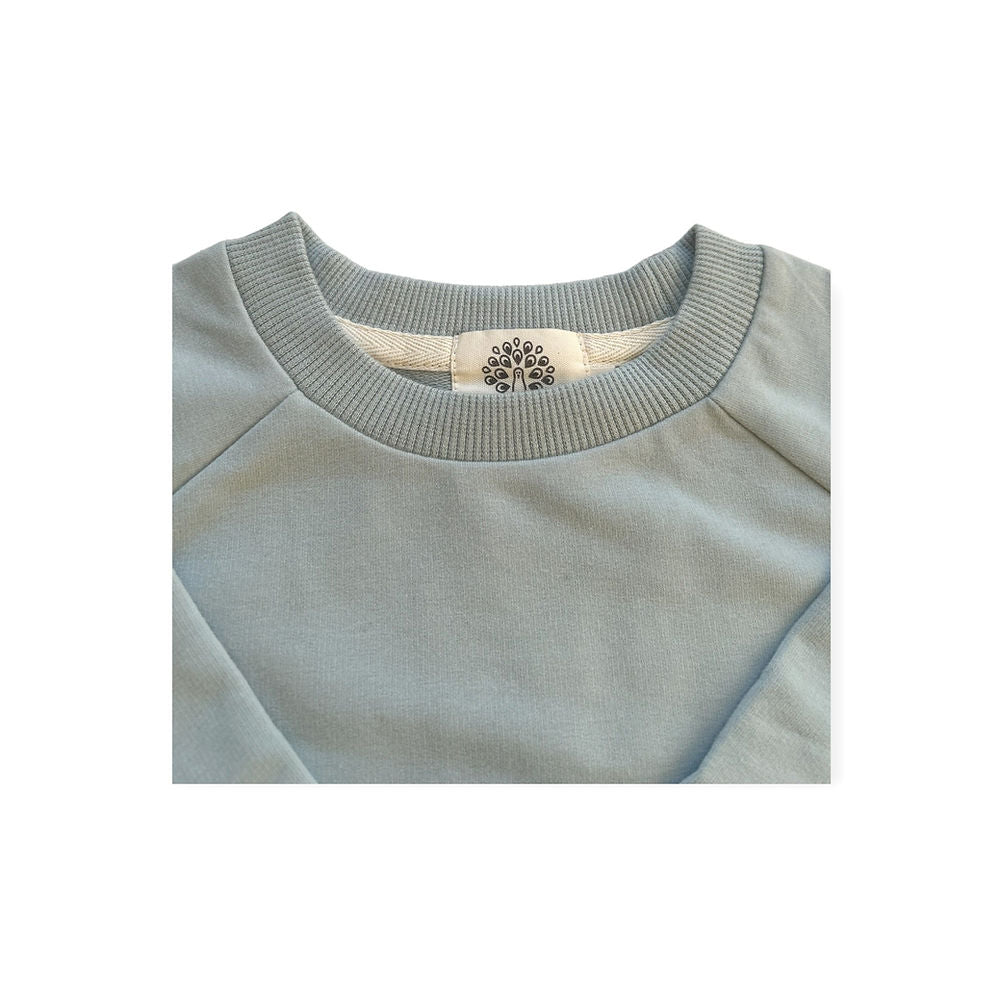 Bella french terry sweatshirt- Minty breeze